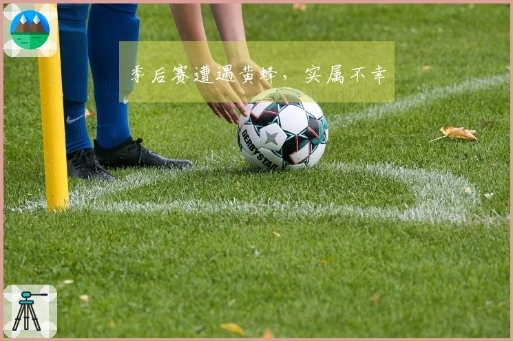 季后赛遭遇黄蜂，实属不幸