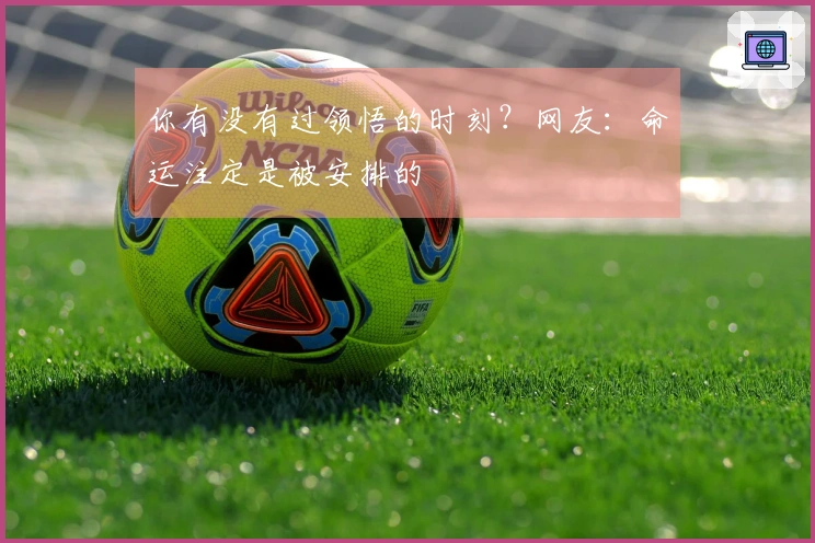 你有没有过领悟的时刻？网友：命运注定是被安排的