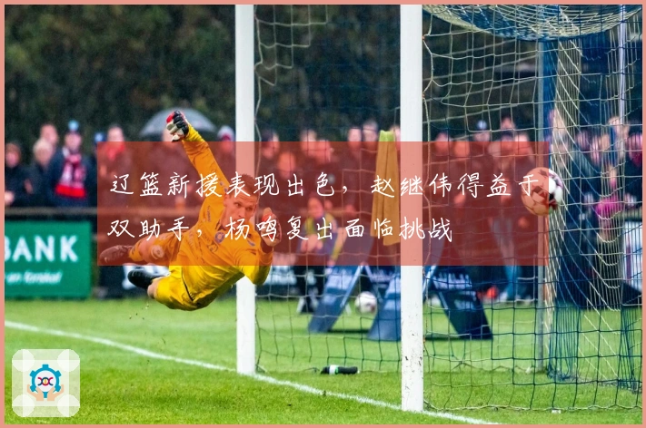 辽篮新援表现出色，赵继伟得益于双助手，杨鸣复出面临挑战