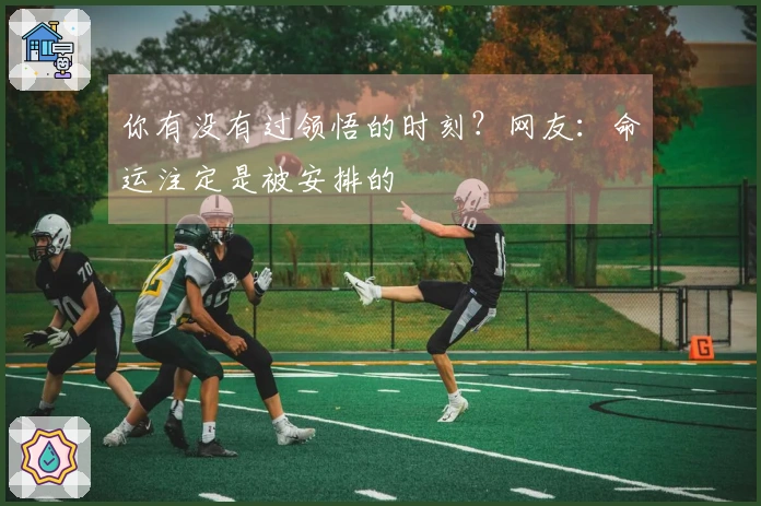 你有没有过领悟的时刻？网友：命运注定是被安排的