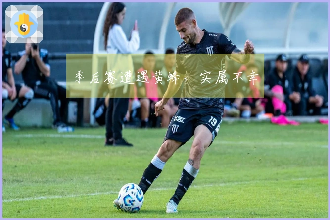 季后赛遭遇黄蜂，实属不幸